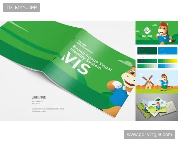 买球的正规网站有哪些优势，为什么选择正规平台能保障您的权益