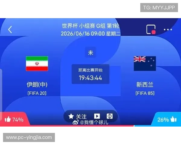 世界杯伊朗新西兰球队身价分析:两队球员市场价值对比与最新动态